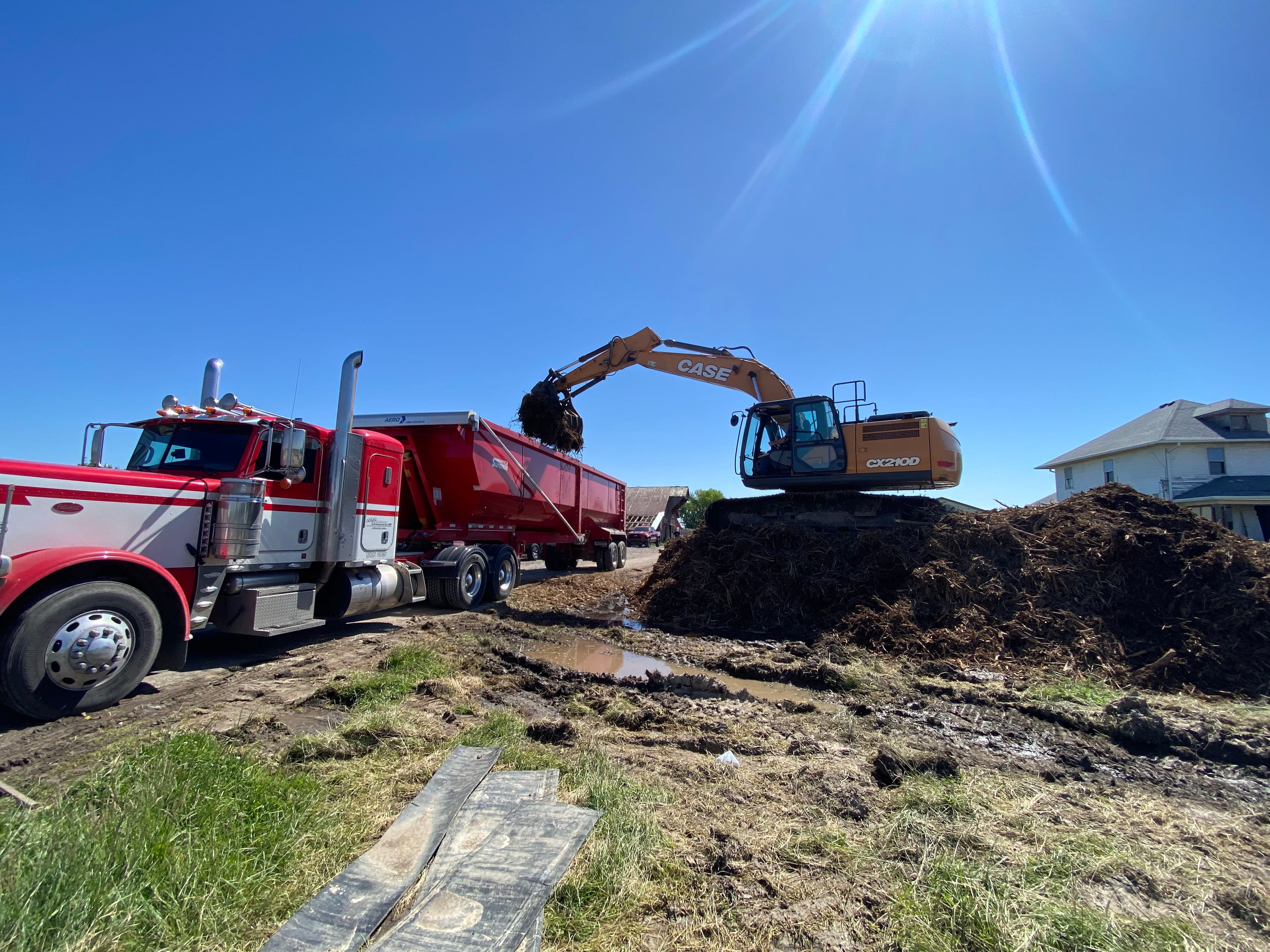 Project Clearing 100,000 Sq Ft of Trees for a New Development image