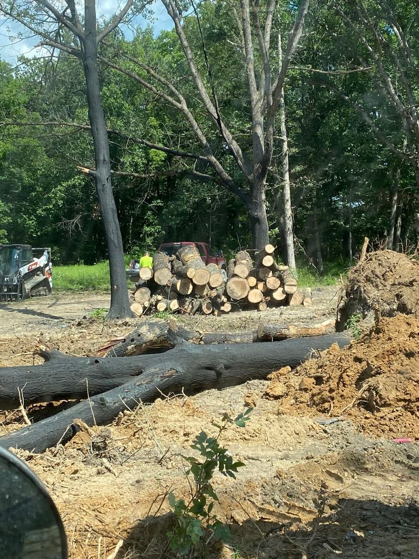 Logs stacked in a clearing, with machinery and workers in a forested area.
