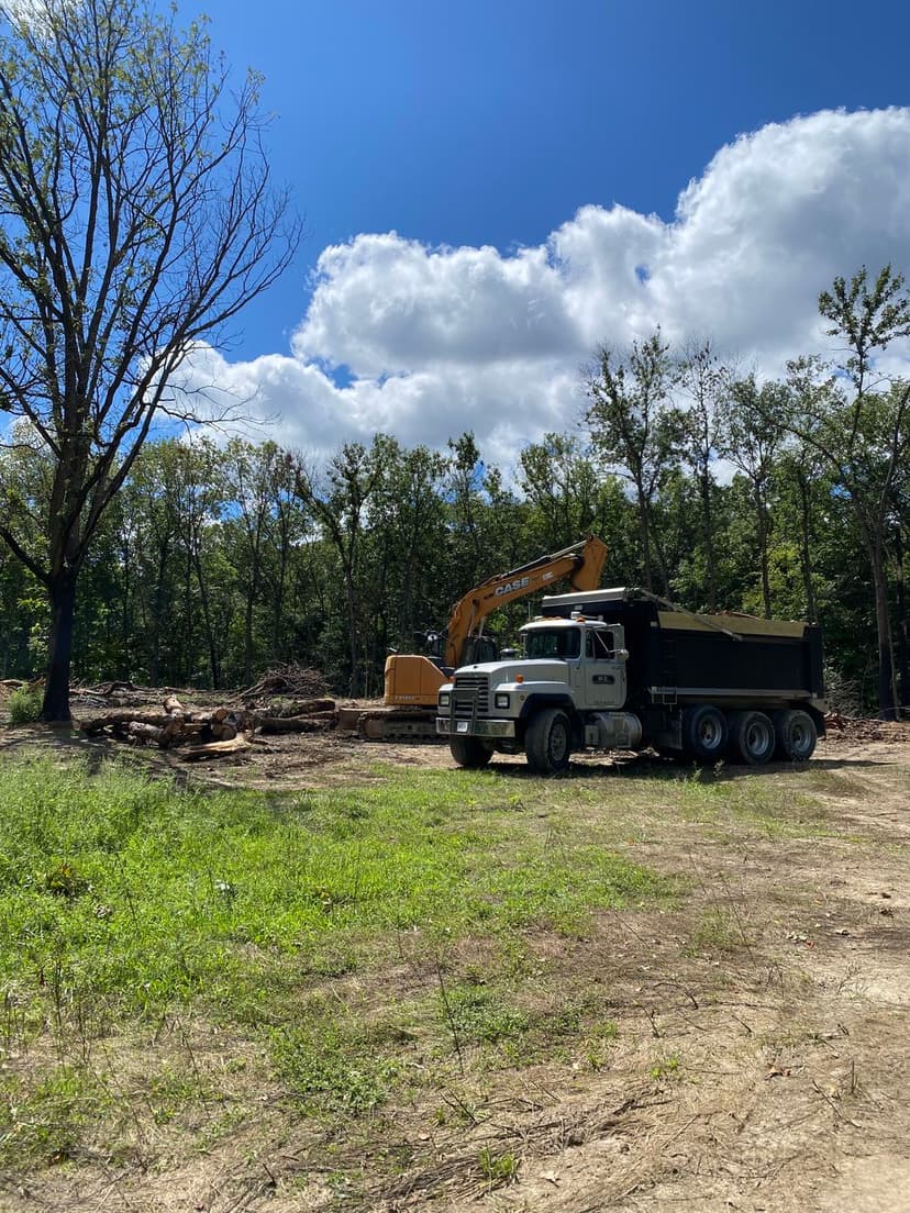 Excavator and dump truck in forest clearing for construction on a sunny day.