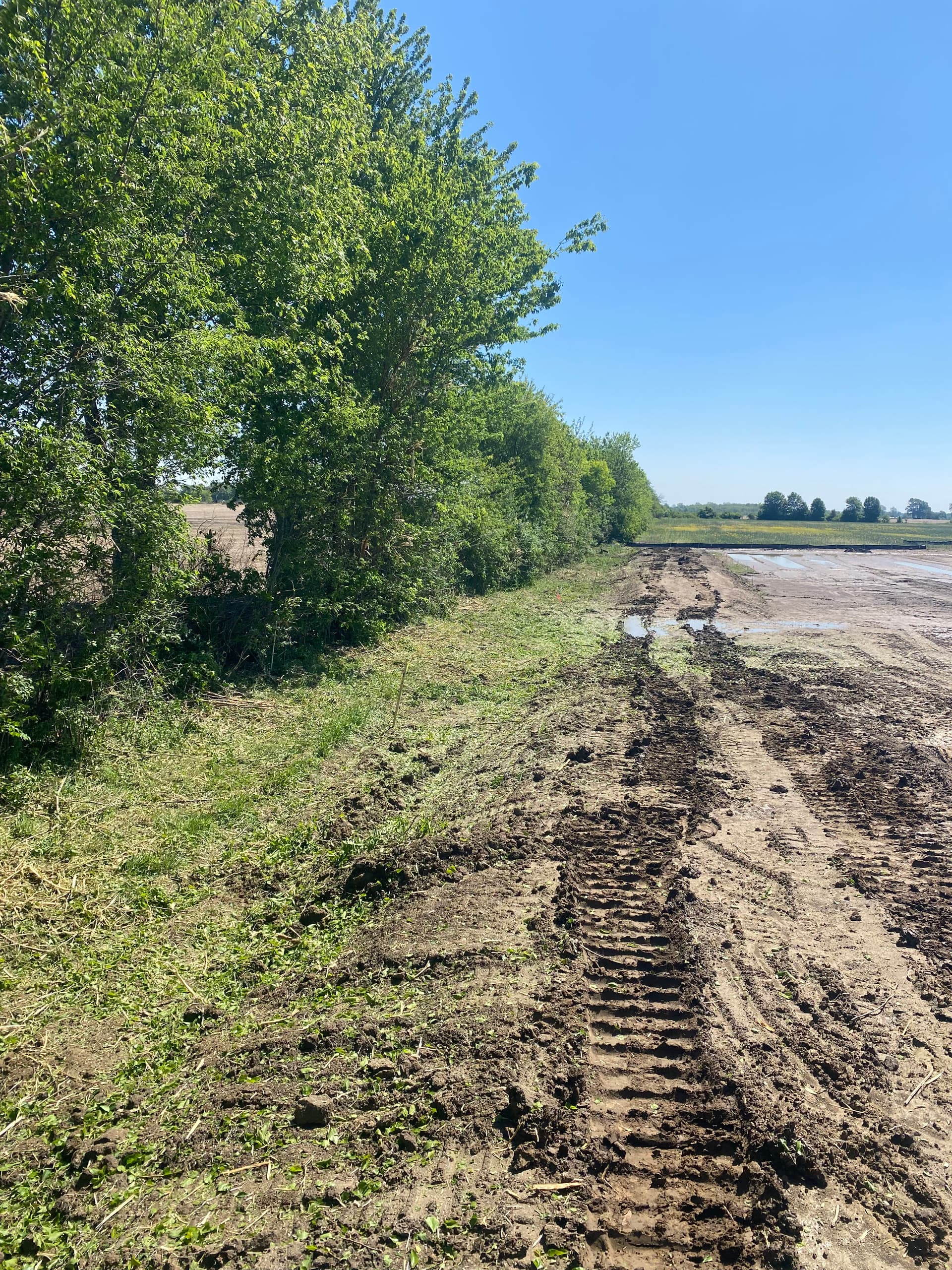 Gallery photos for Clearing 100,000 Sq Ft of Trees for a New Development: Image #2
