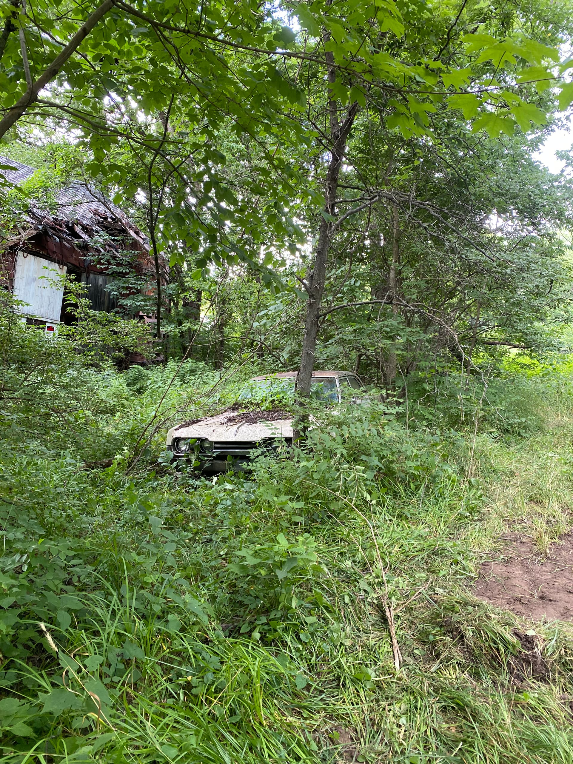 Gallery photos for Full Property Demo and Site Prep - House, Barn, and Years of Overgrowth Gone: Image #5